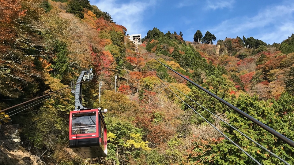 身延山ロープウェイ紅葉