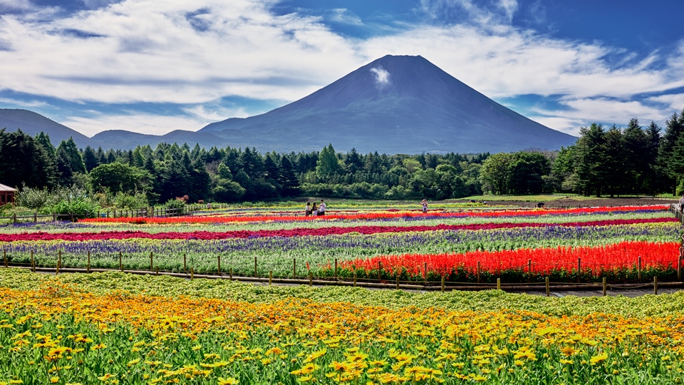 虹の花まつり