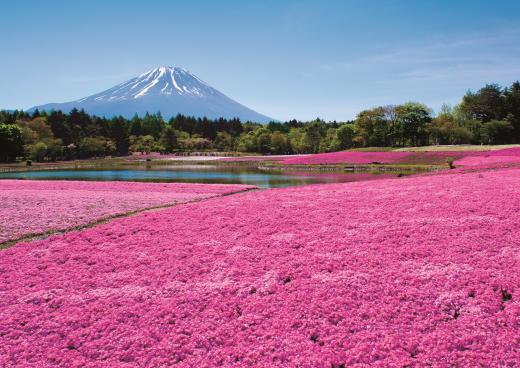 富士本栖湖リゾート