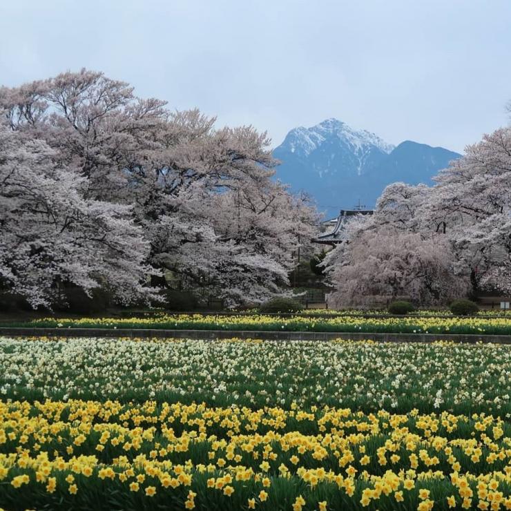 実相寺