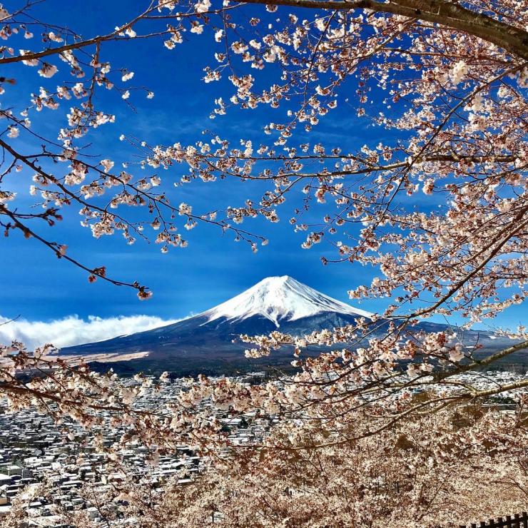 新倉山浅間公園