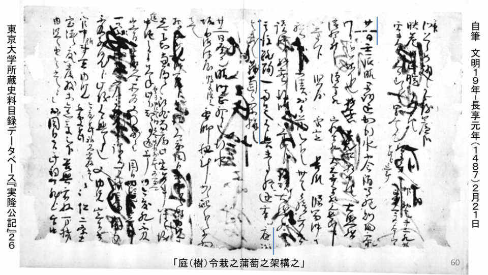 出典：東京大学所蔵史料目録データベース『実隆公記』26