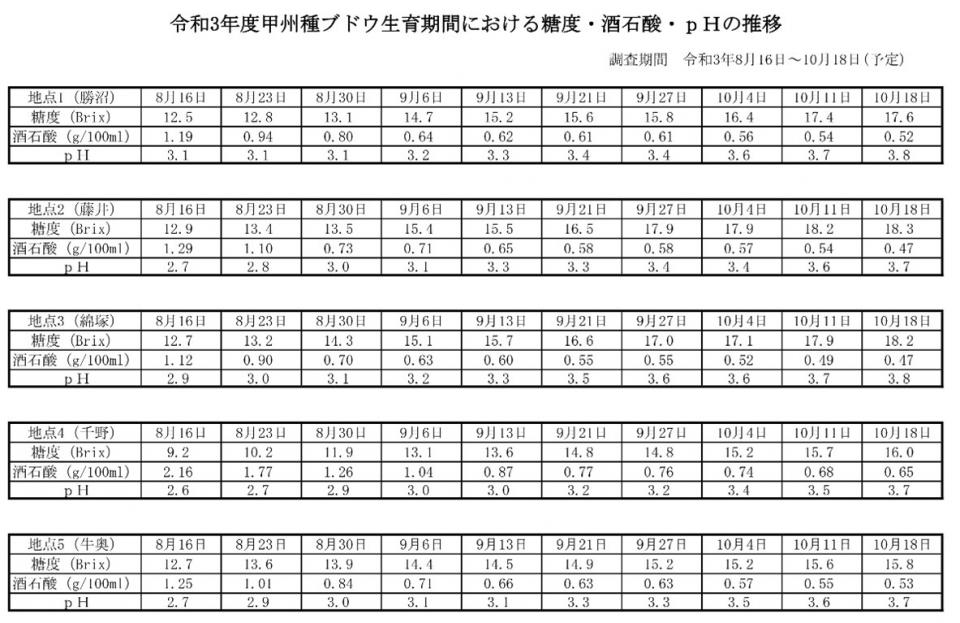 資料