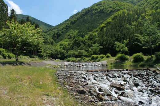 石和エリアキャンプ場