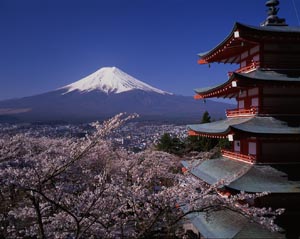 新倉山浅間公園忠霊塔