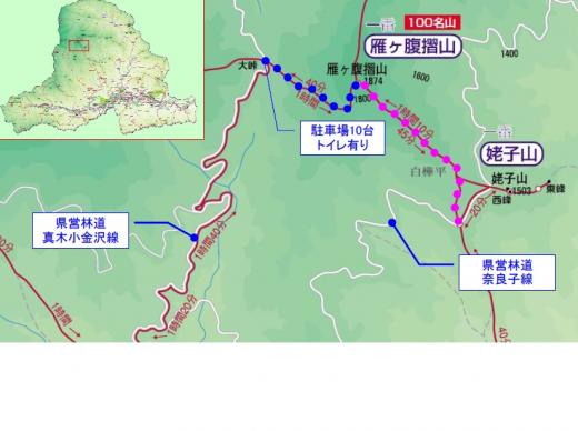 雁ケ腹摺山山頂ビューポイント 富士の国やまなし観光ネット 山梨県公式観光情報