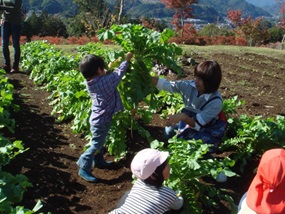 桂川5