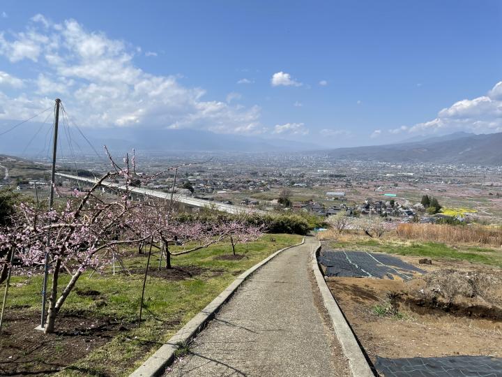 花鳥山への道