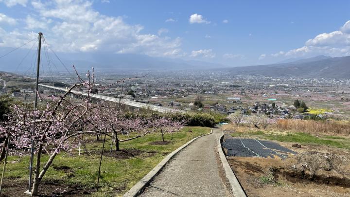 花鳥山への道