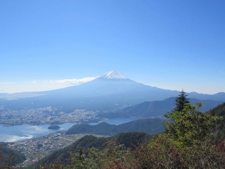 shindopass