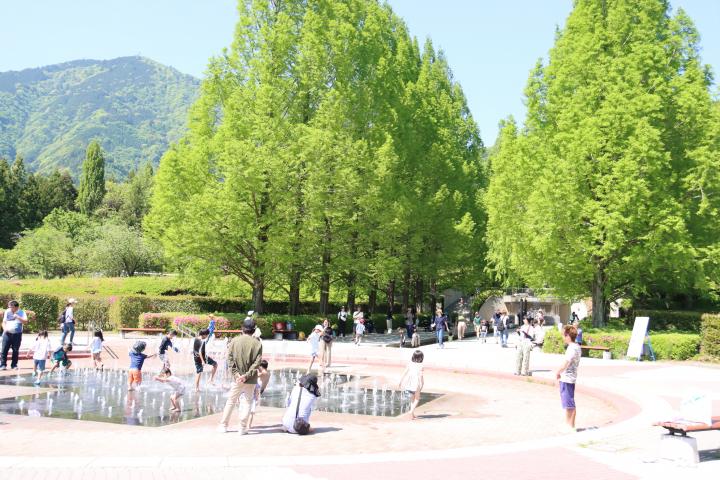 富士川クラフトパーク