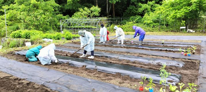 農作業体験風景