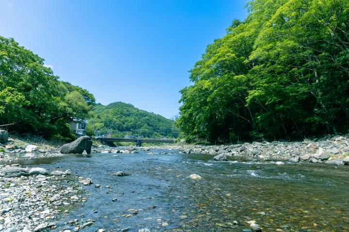 身延の清流