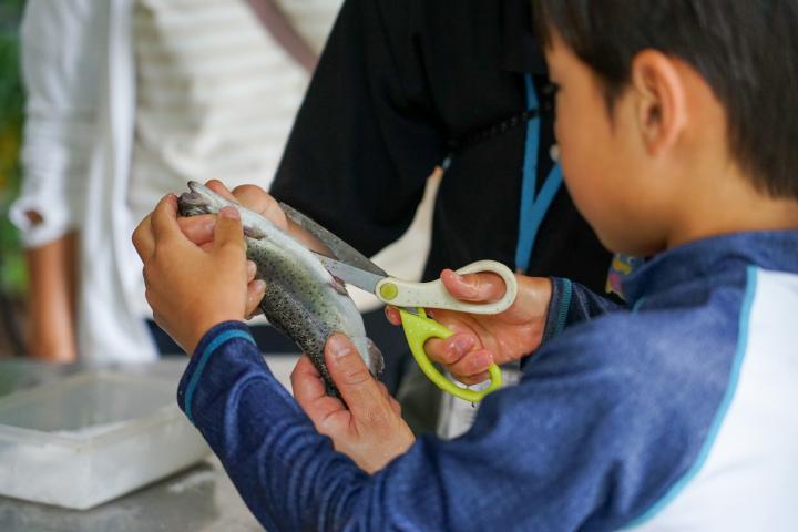 魚の下処理
