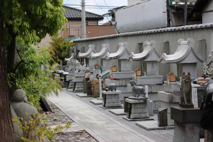 JRkofu