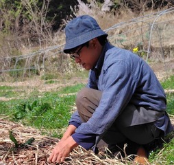 不耕起栽培にこだわる移住者：川部源太さん