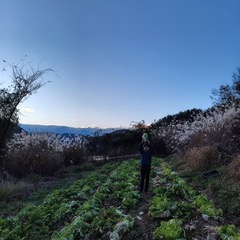 不耕起栽培にこだわる移住者：川部源太さん②