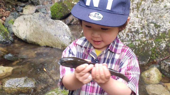 芦川魚のつかみ取り