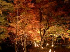 山中湖「夕焼けの渚 紅葉まつり」4
