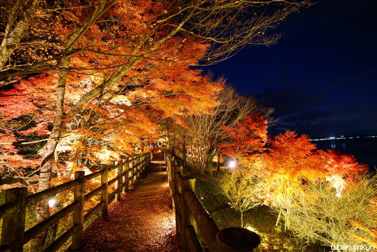 紅葉まつり夜橋1