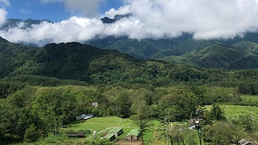 鶏は泥から