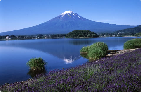 精進湖から望む富士山