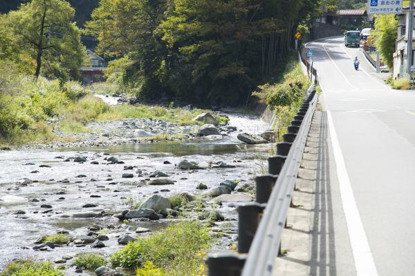 写真：サイクリングコースの一部