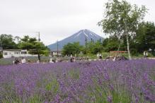 八木崎公園