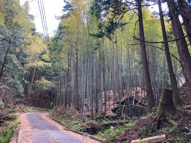 犬巻峠