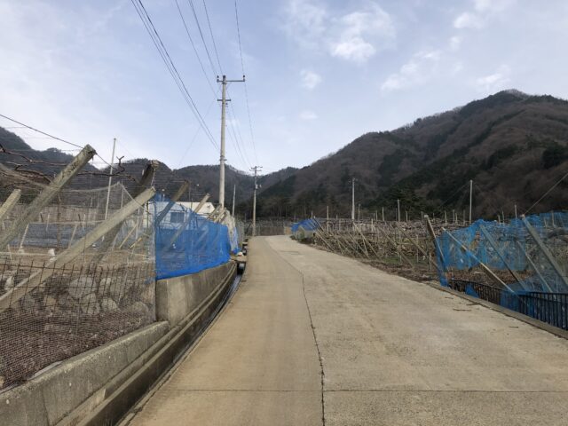 菱山坂