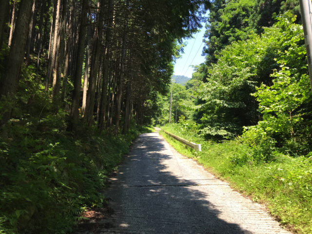 太良ヶ峠（甲府市側）