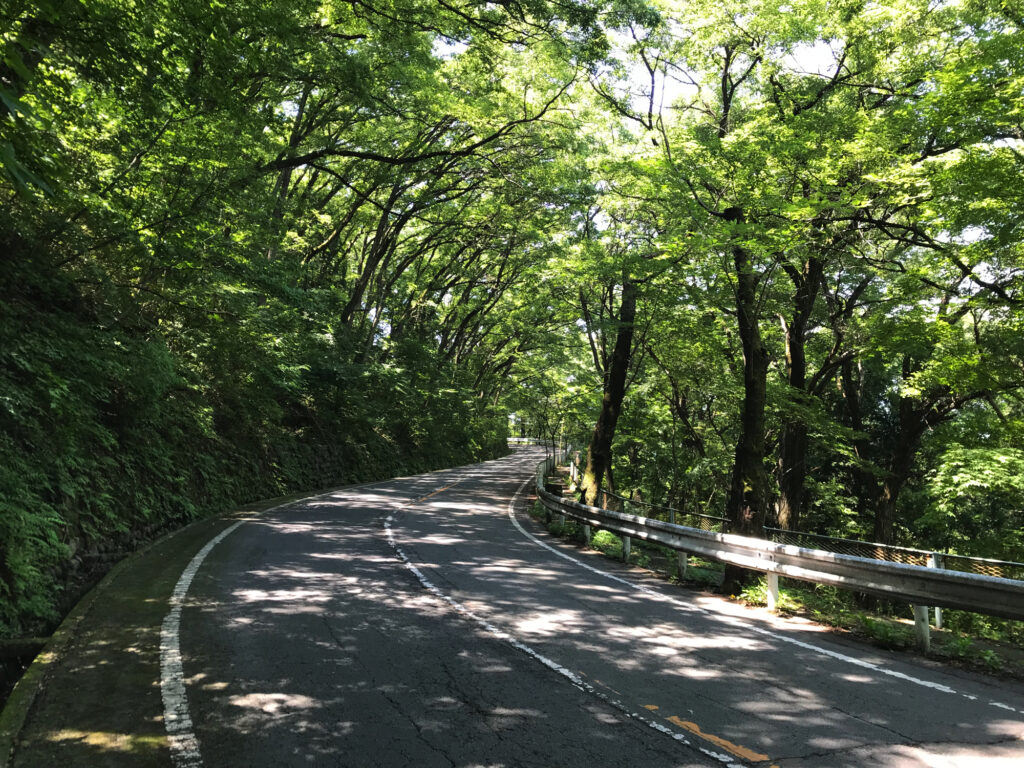 愛宕山（武田神社側）