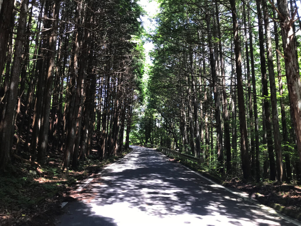 笹子峠（湯の沢）